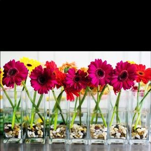 Meet your Posher, Carolyn